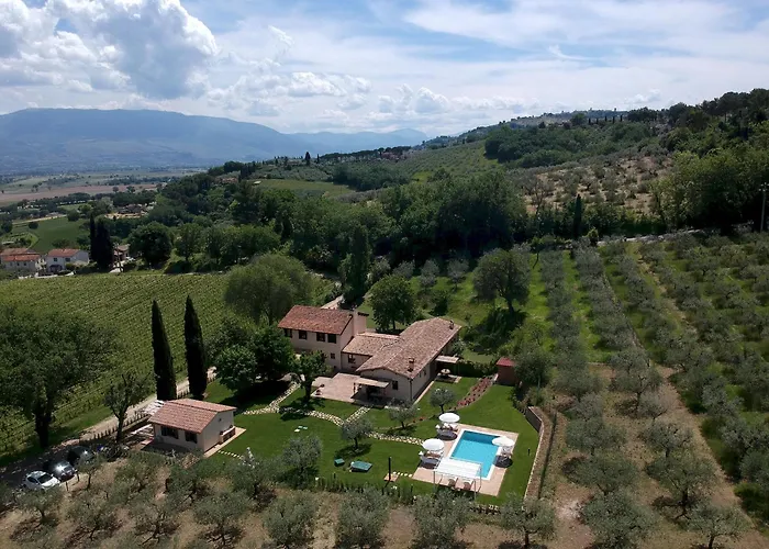 Villa La Collina Degli Ulivi 8&2, Emma Montefalco